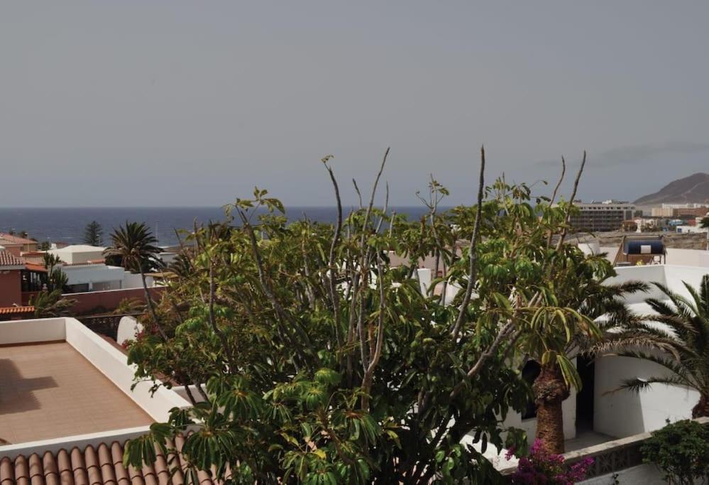Los Cisnes Encantadora Casa Con Jardin Y Estudio Vista Al Mar El Medano  Bagian luar foto