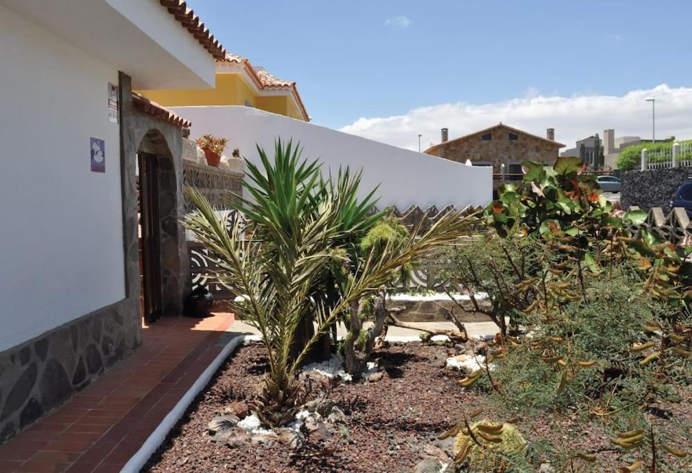 Los Cisnes Encantadora Casa Con Jardin Y Estudio Vista Al Mar El Medano  Bagian luar foto